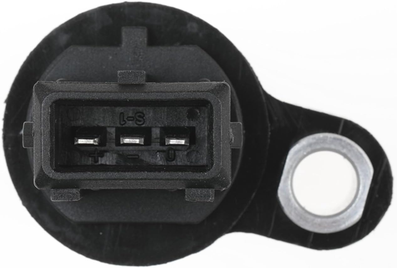 BYD/F0/31DIENTES