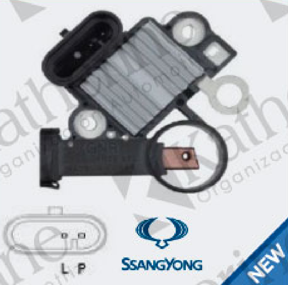 SSANGYONG/CHINO/2S/12V