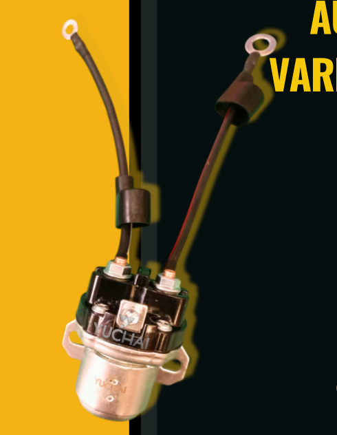 CHANCHITO AUXILIAR VARIOS /24V 